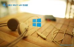 ʿwin11 64λװͨðv2025.05