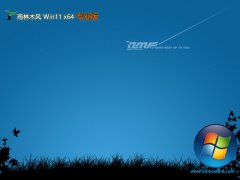 ľwin11 64λͨõذv2025.05