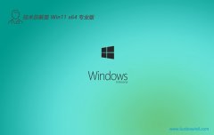 Աv2024.04win11 64λ޲