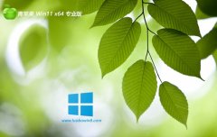 ƻϵͳwin11 64λv2025.05