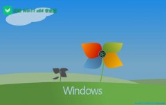 ̲ϵͳwin11ȶ64λv2025.05