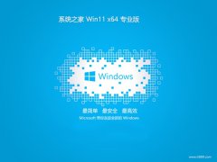 ϵͳ֮win11ˬ64λv2025.05