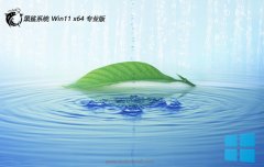 ϵͳv2025.05win11 64λʰ