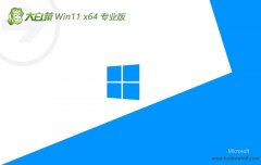 ײ64λwin11ðv2025.05